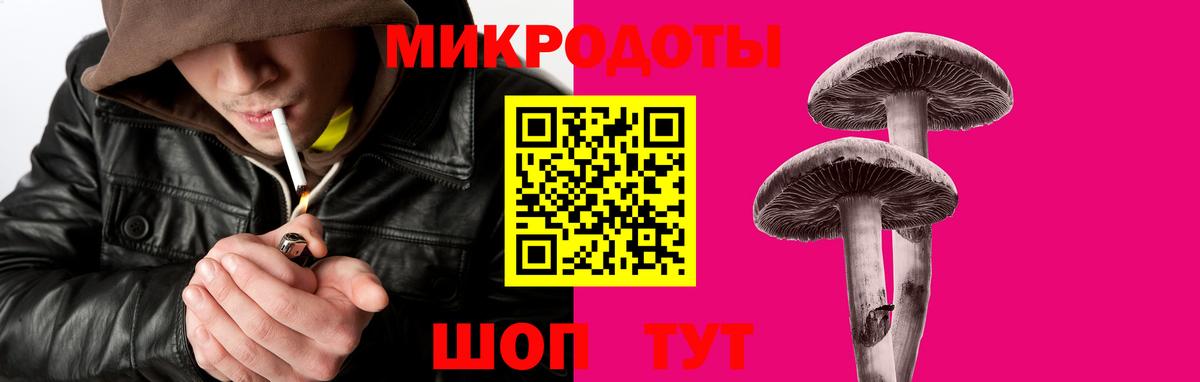 Галлюциногенные грибы GOLDEN TEACHER Великий Новгород